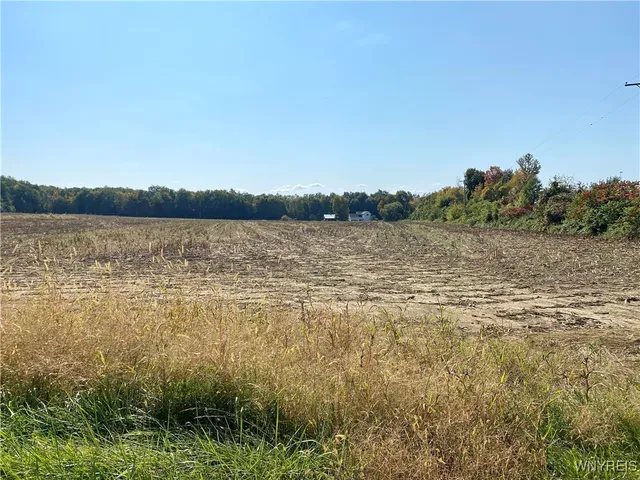 $99,900 | V/l Schintzius Road, Eden, NY 14057