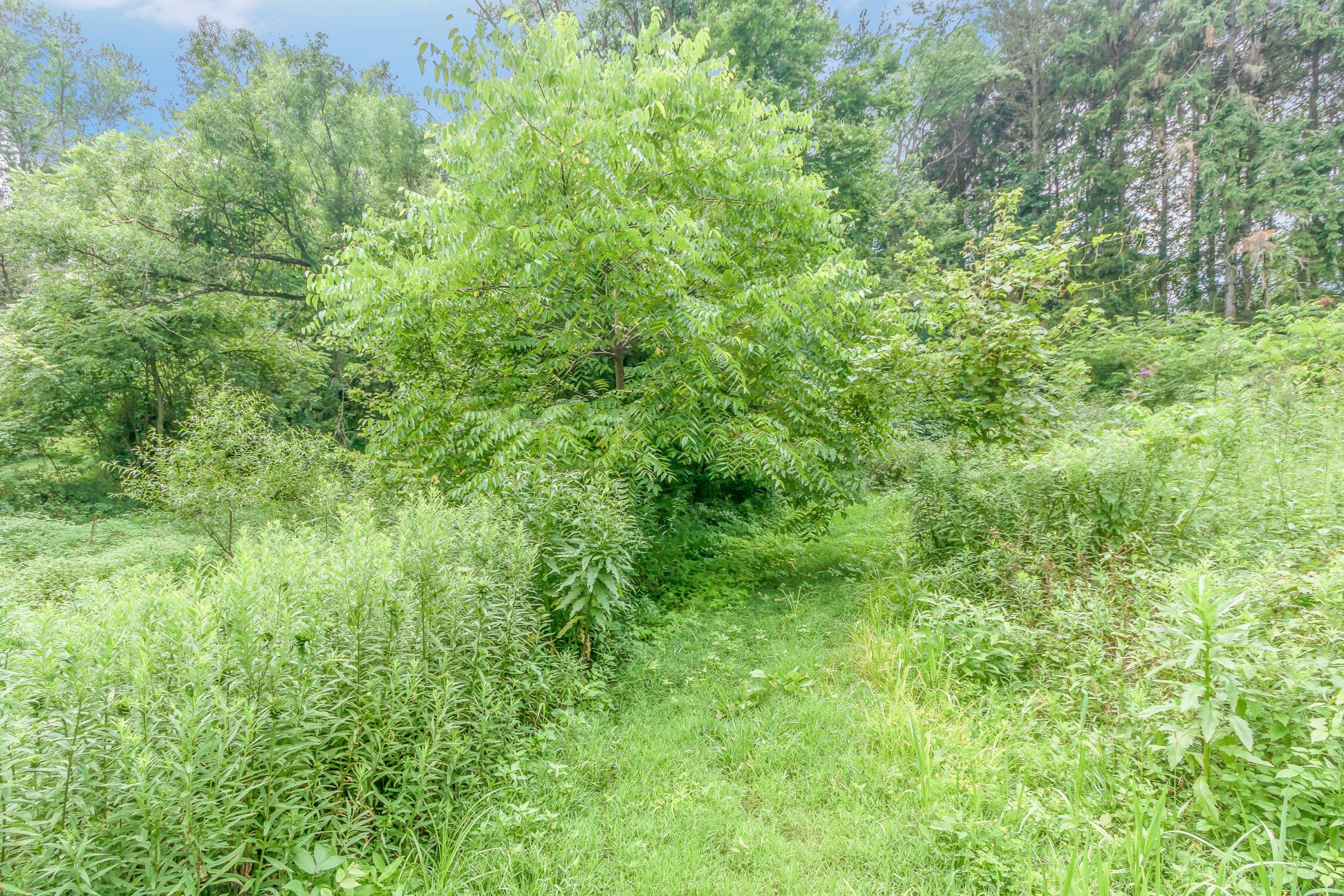 0 Olentangy River Road Delaware, OH 43015 - Photo 18 of 20