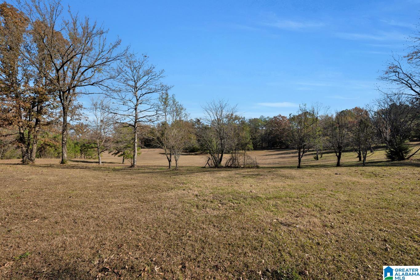 2286 Spring Creek Road Montevallo, AL 35115 - Photo 55 of 91 Gallery Image 55