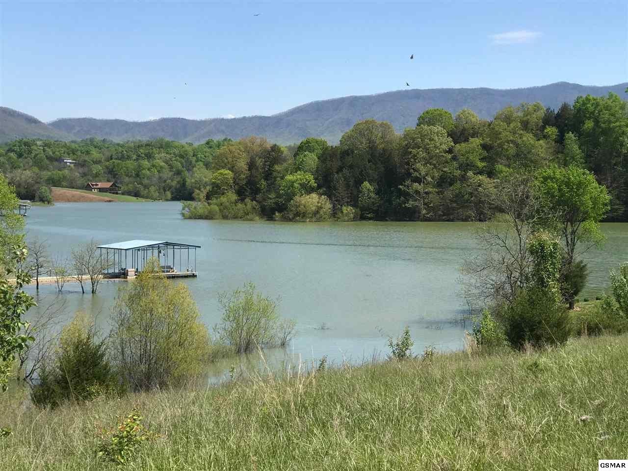 1925 Indian Creek Road Dandridge, TN 37725 - Photo 1 of 6