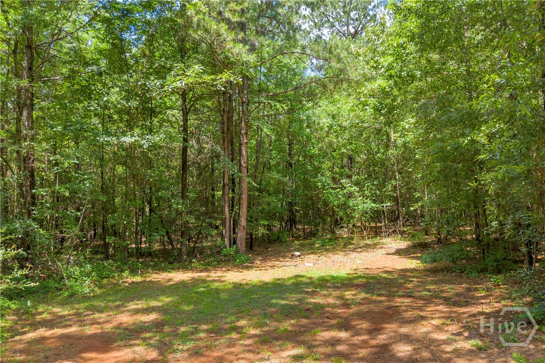 918 Sims Bridge Road Commerce, GA 30530 - Photo 44 of 50 Gallery Image 44
