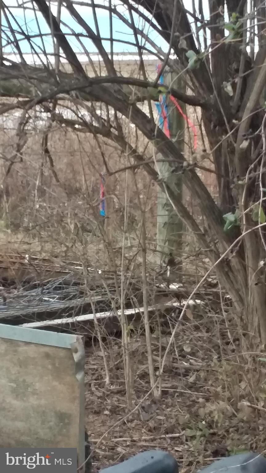 Trapp Hill Berryville, VA 22611 - Photo 11 of 12 Western Rear property Corner