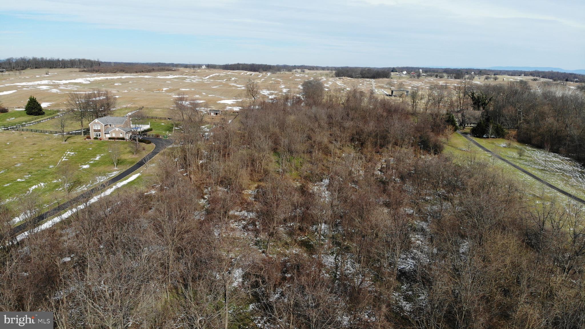 Trapp Hill Berryville, VA 22611 - Photo 2 of 12