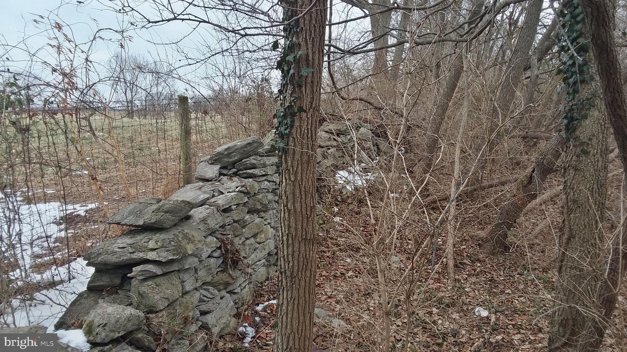 Trapp Hill Berryville, VA 22611 - Photo 4 of 12 Stone wall /fence rear of property