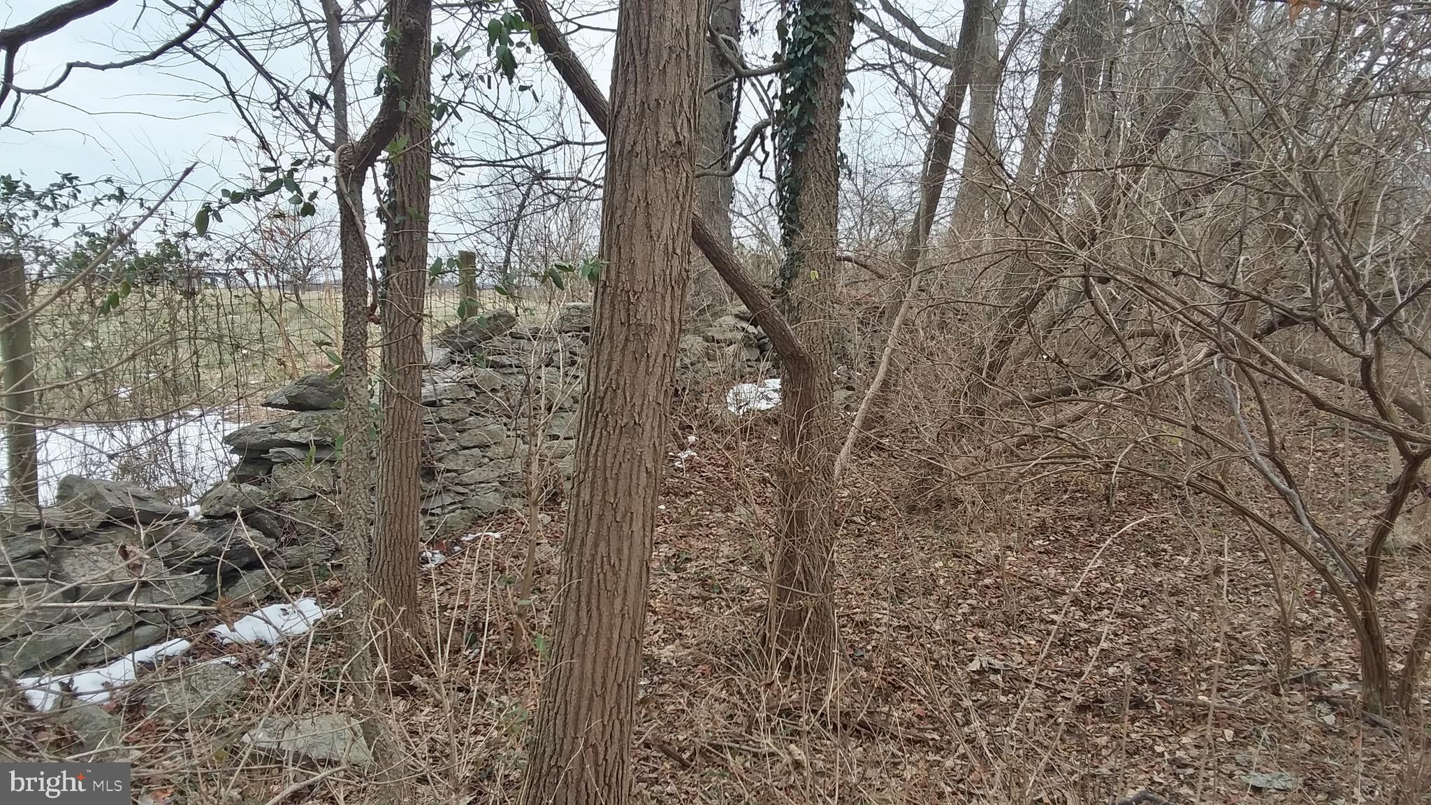 Trapp Hill Berryville, VA 22611 - Photo 5 of 12