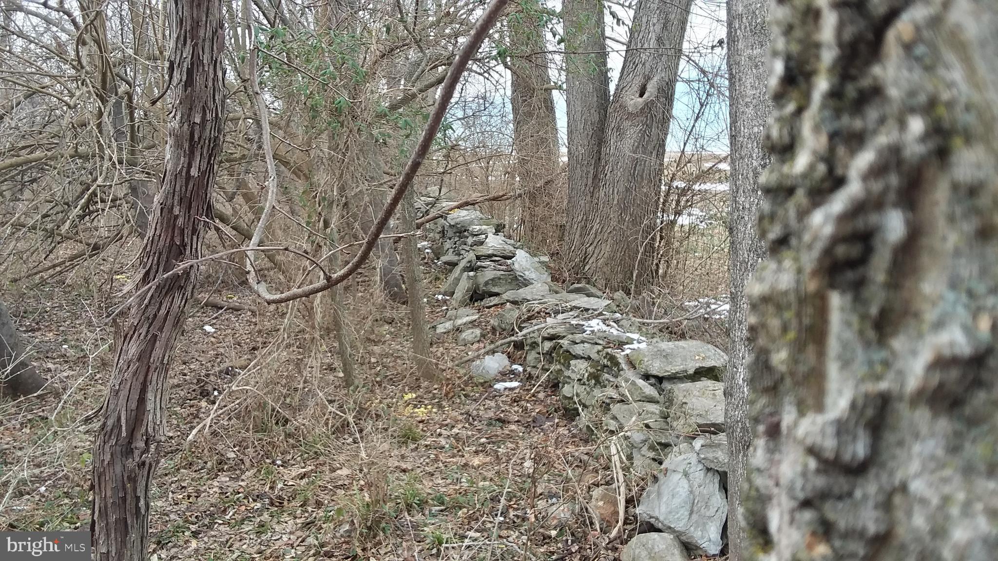 Trapp Hill Berryville, VA 22611 - Photo 6 of 12