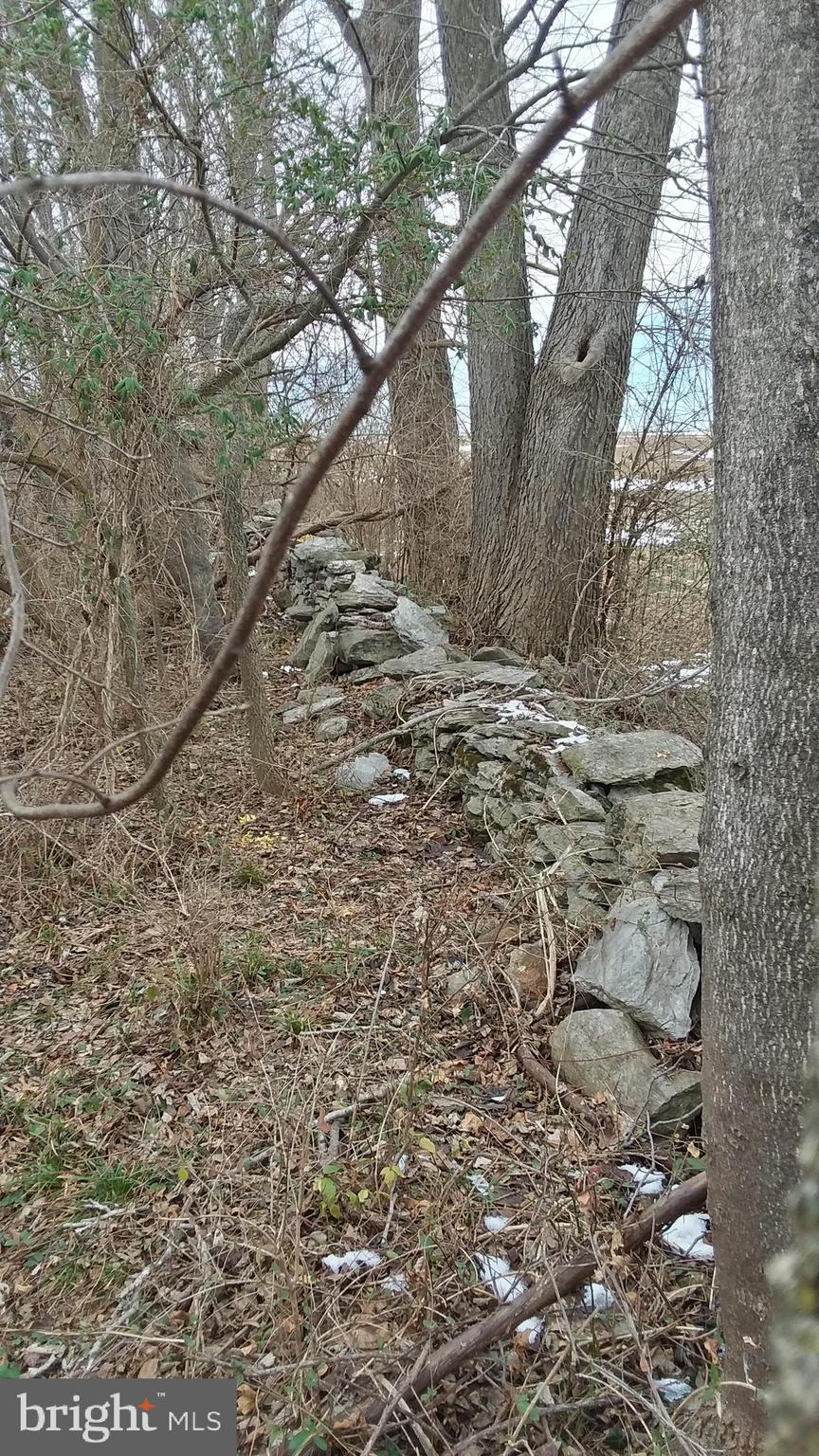 Trapp Hill Berryville, VA 22611 - Photo 7 of 12