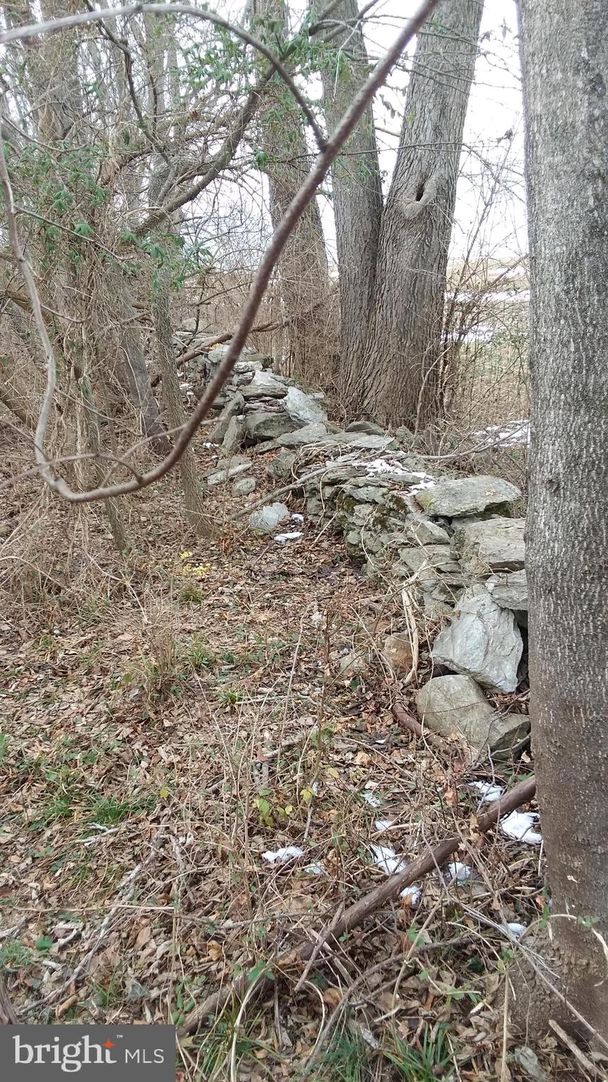 Trapp Hill Berryville, VA 22611 - Photo 8 of 12