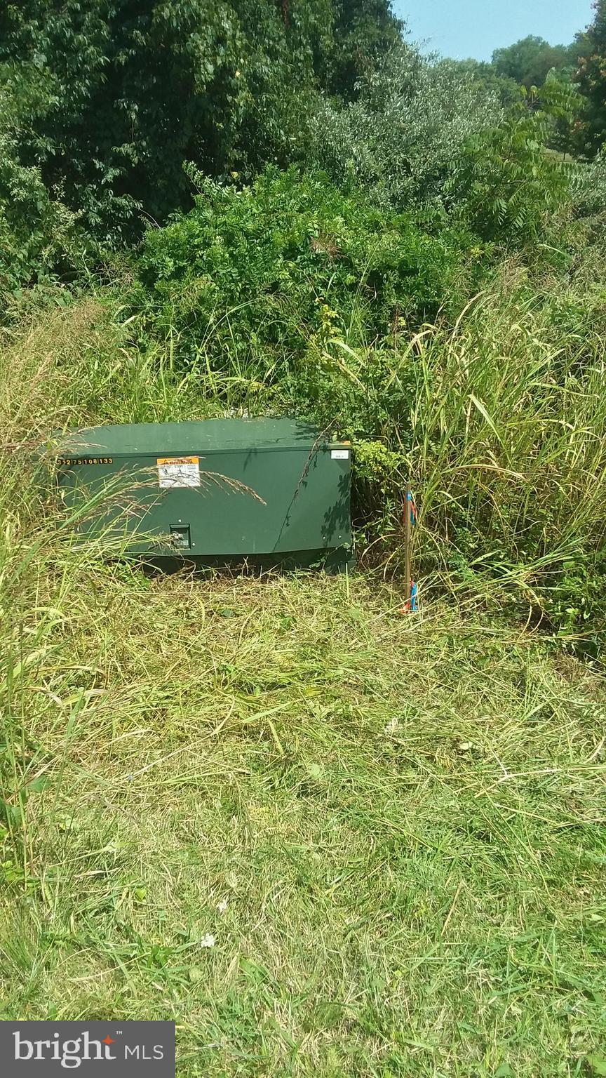 Trapp Hill Berryville, VA 22611 - Photo 9 of 12 Eastern front property corner