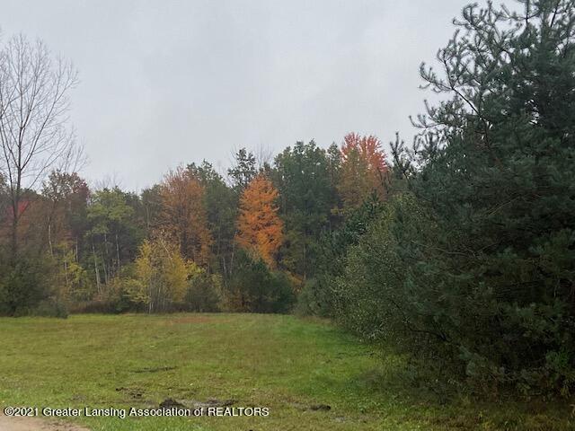 13851 South Chapin Road Brant, MI 48614 - Photo 1 of 10 IMG_3543