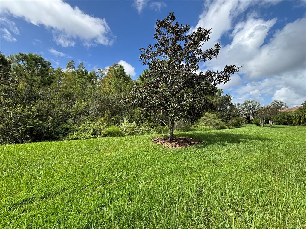 915 San Raphael Street Poinciana, FL 34759 - Photo 58 of 84 a view of a golf course with a lake