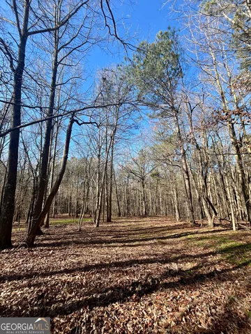 $319,900 | 1090 Kansas Jake Road, Waco, GA 30182