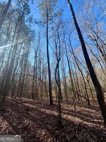 $319,900 | 1090 Kansas Jake Road, Waco, GA 30182