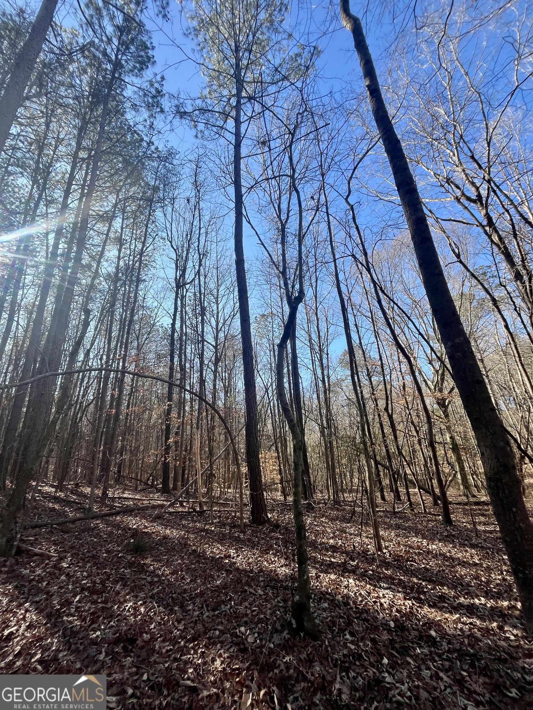 1090 Kansas Jake Road Waco, GA 30182 - Photo 12 of 22