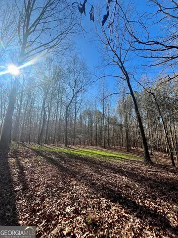 $319,900 | 1090 Kansas Jake Road, Waco, GA 30182