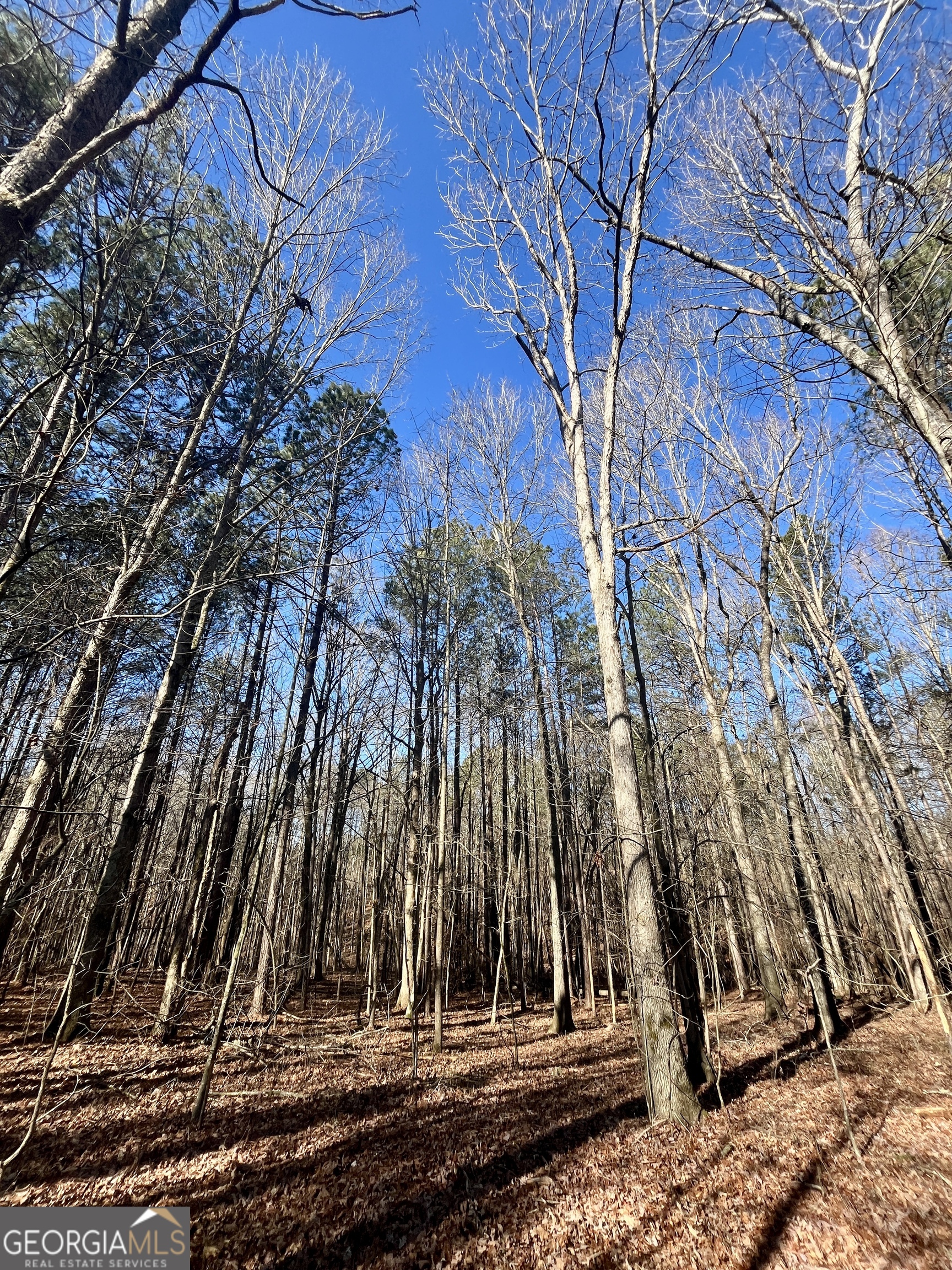 1090 Kansas Jake Road Waco, GA 30182 - Photo 14 of 22