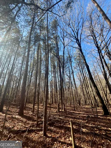 $319,900 | 1090 Kansas Jake Road, Waco, GA 30182