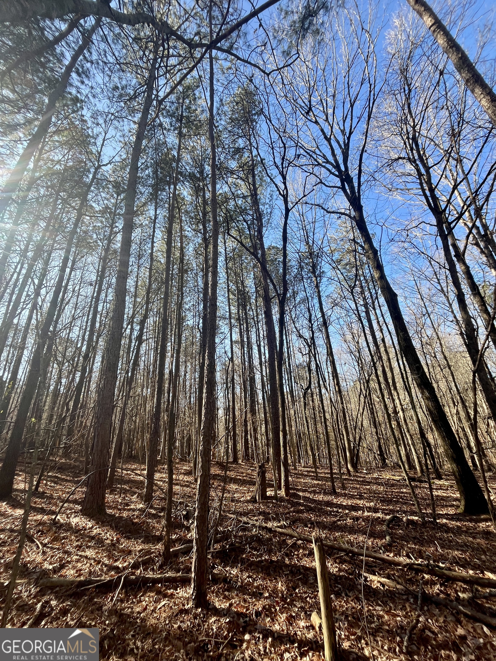 1090 Kansas Jake Road Waco, GA 30182 - Photo 15 of 22