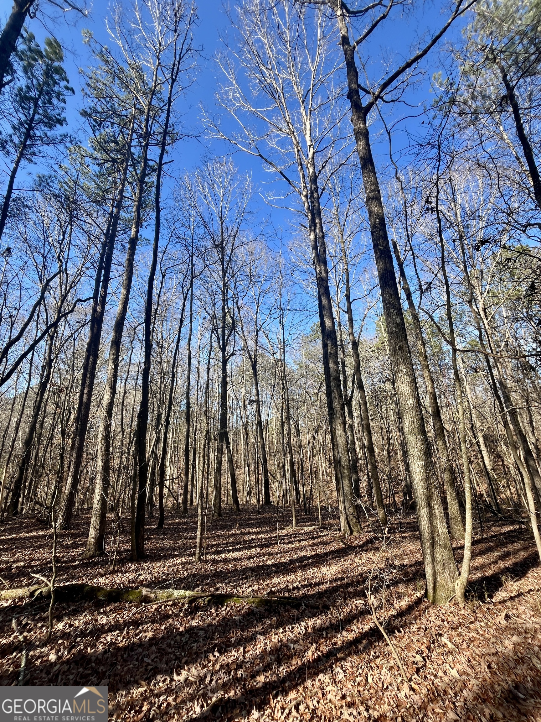 1090 Kansas Jake Road Waco, GA 30182 - Photo 16 of 22