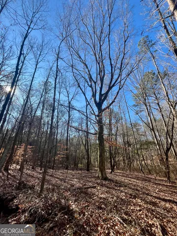 $319,900 | 1090 Kansas Jake Road, Waco, GA 30182