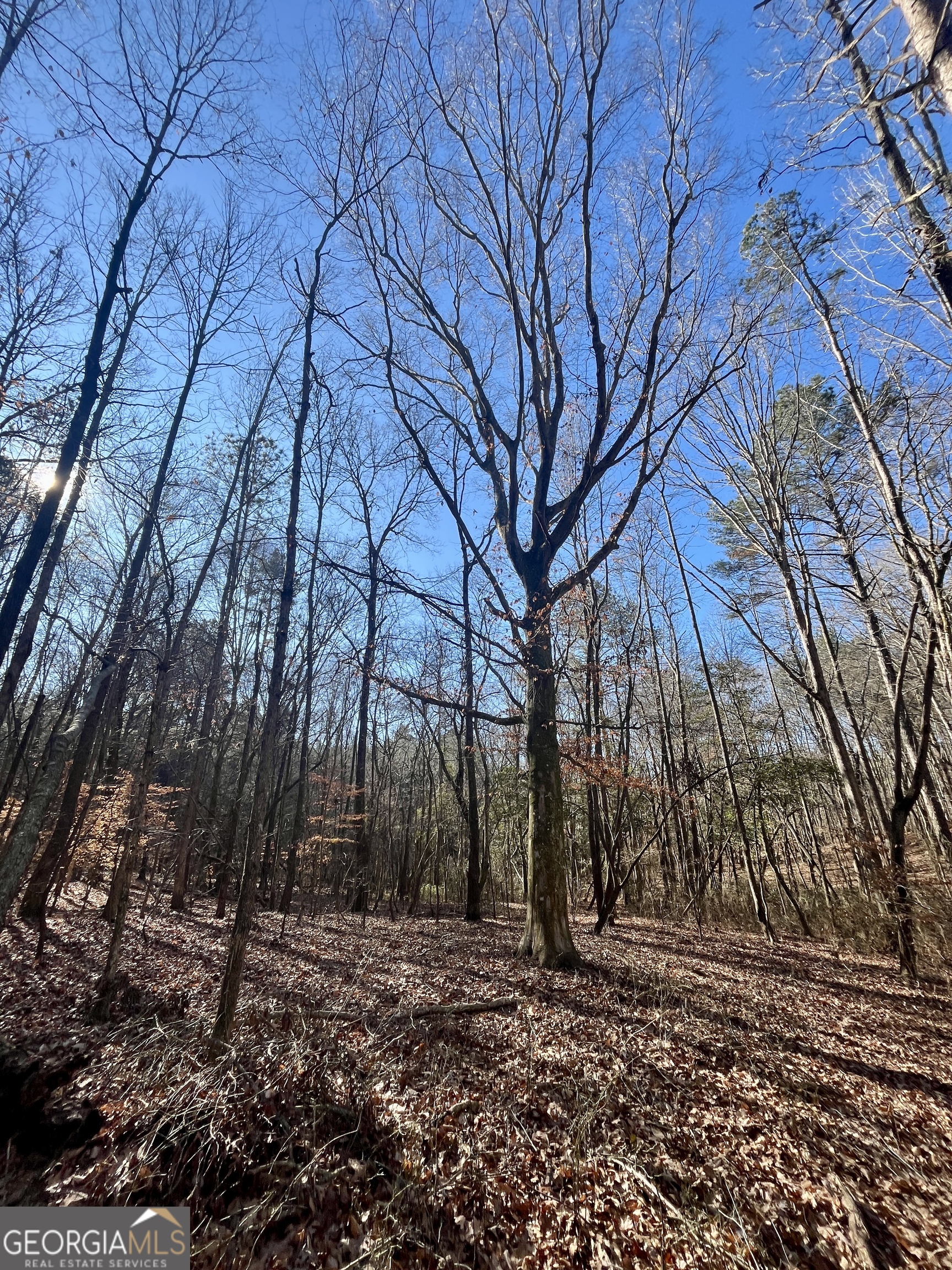 1090 Kansas Jake Road Waco, GA 30182 - Photo 18 of 22