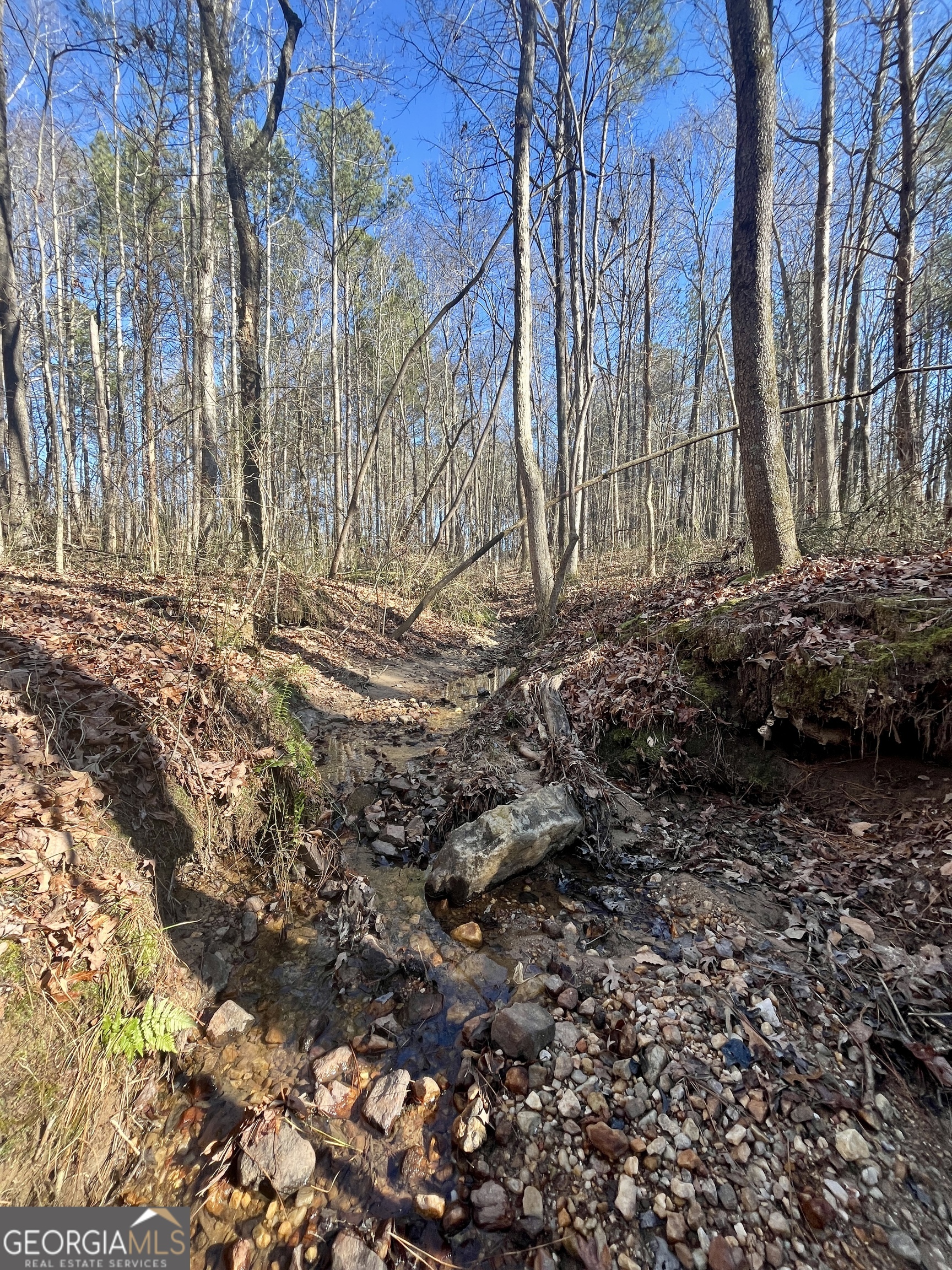 1090 Kansas Jake Road Waco, GA 30182 - Photo 19 of 22