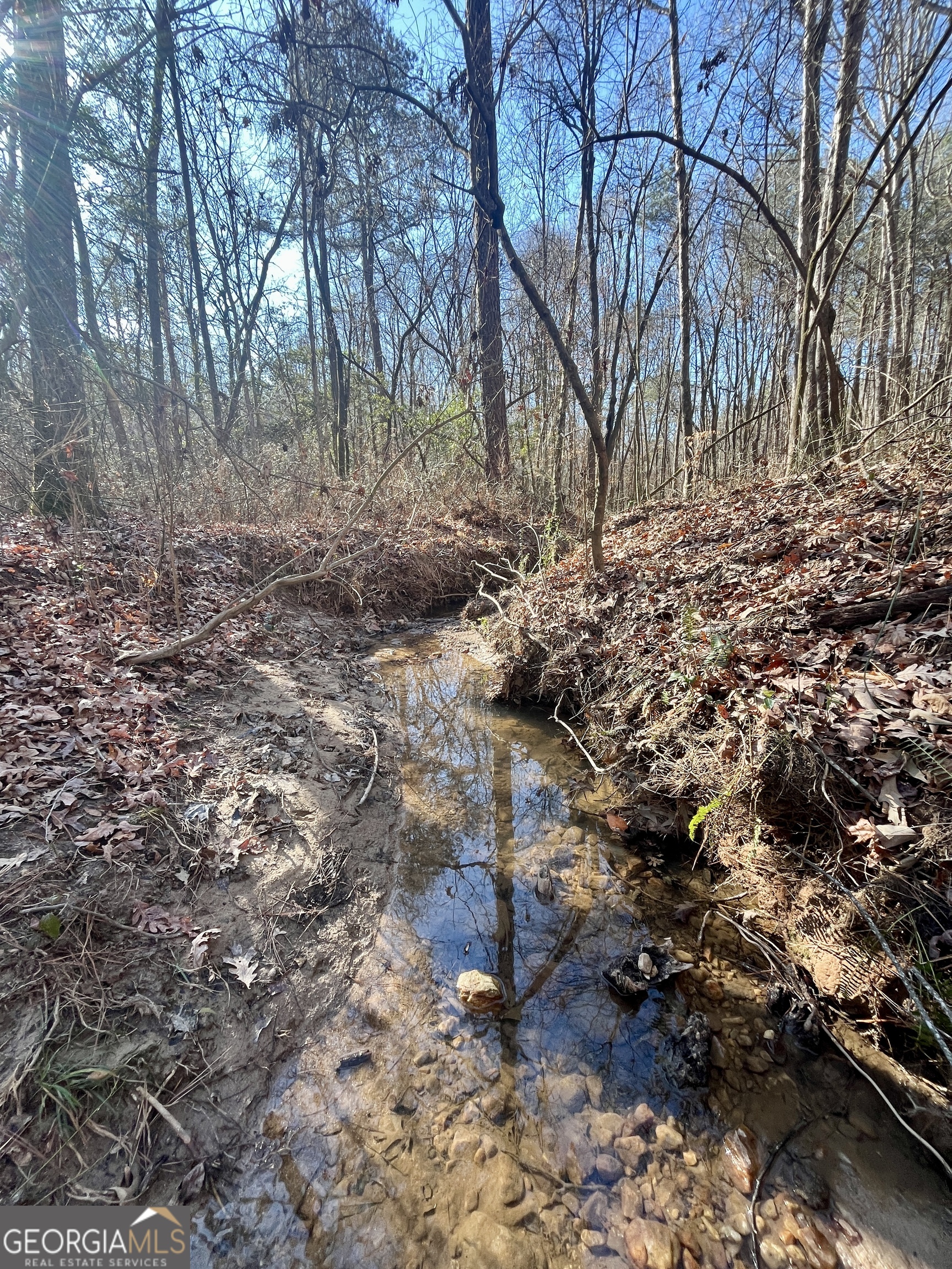 1090 Kansas Jake Road Waco, GA 30182 - Photo 20 of 22