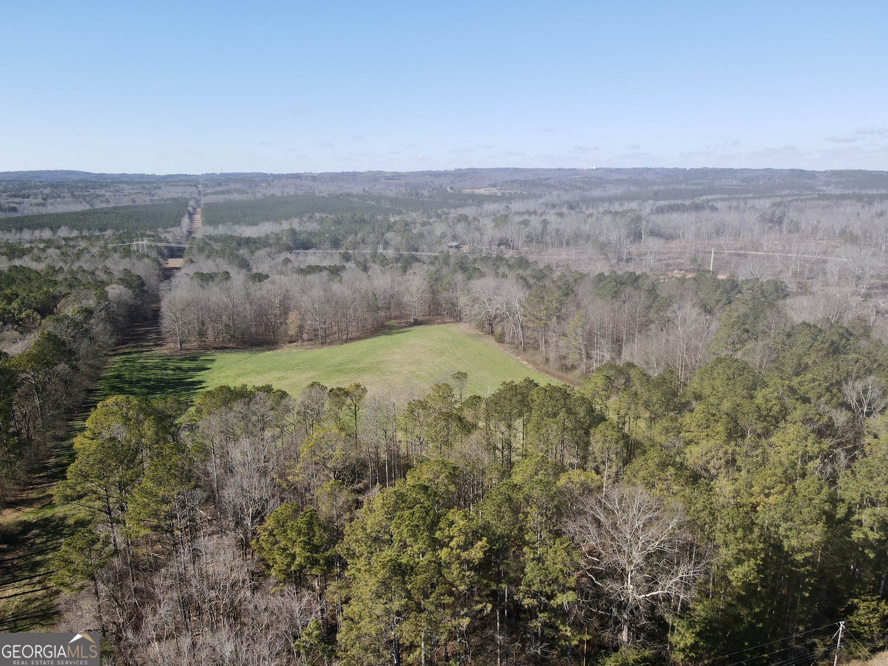1090 Kansas Jake Road Waco, GA 30182 - Photo 2 of 22