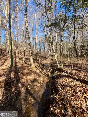 $319,900 | 1090 Kansas Jake Road, Waco, GA 30182