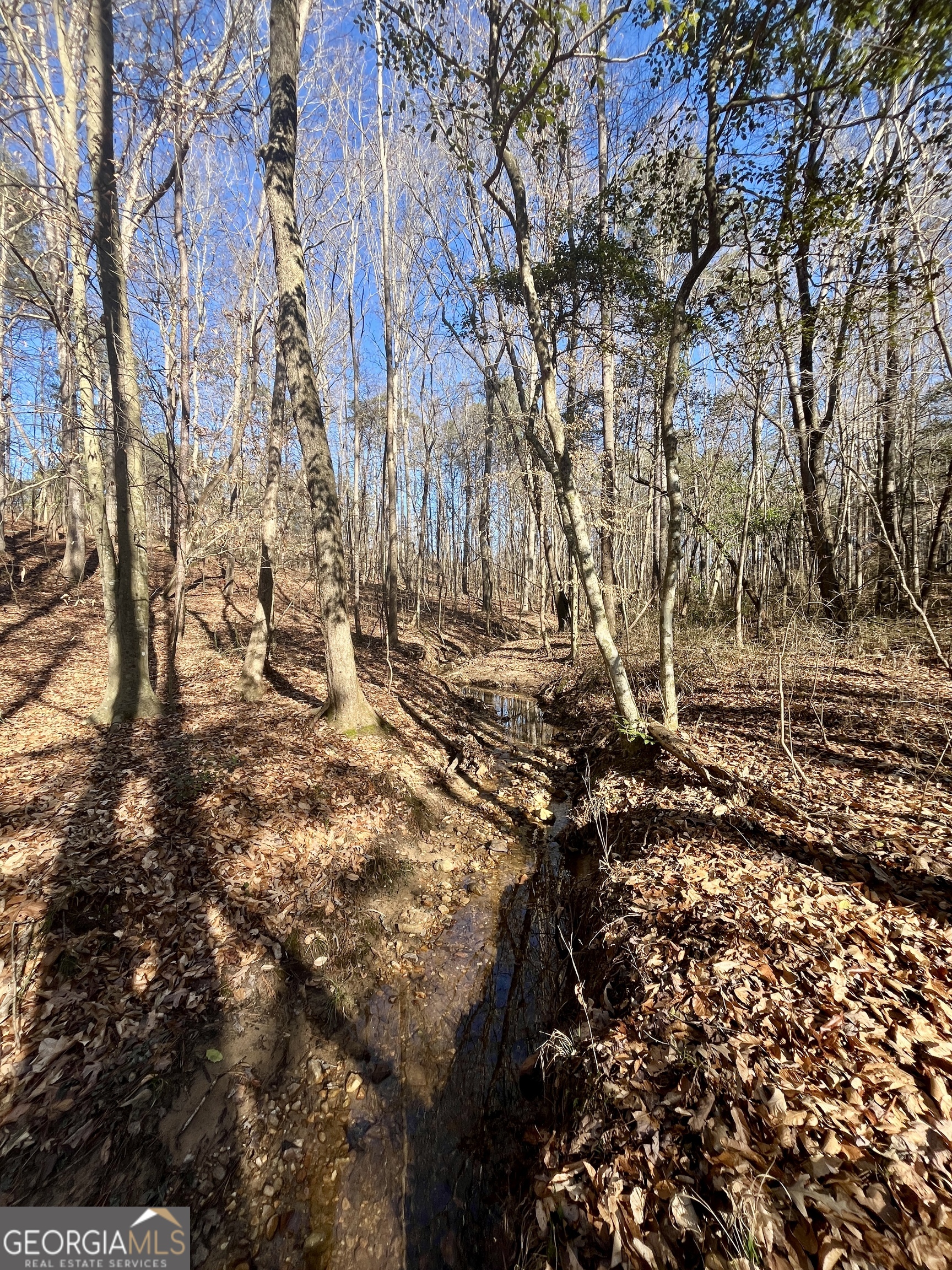 1090 Kansas Jake Road Waco, GA 30182 - Photo 21 of 22