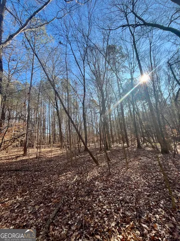 $319,900 | 1090 Kansas Jake Road, Waco, GA 30182