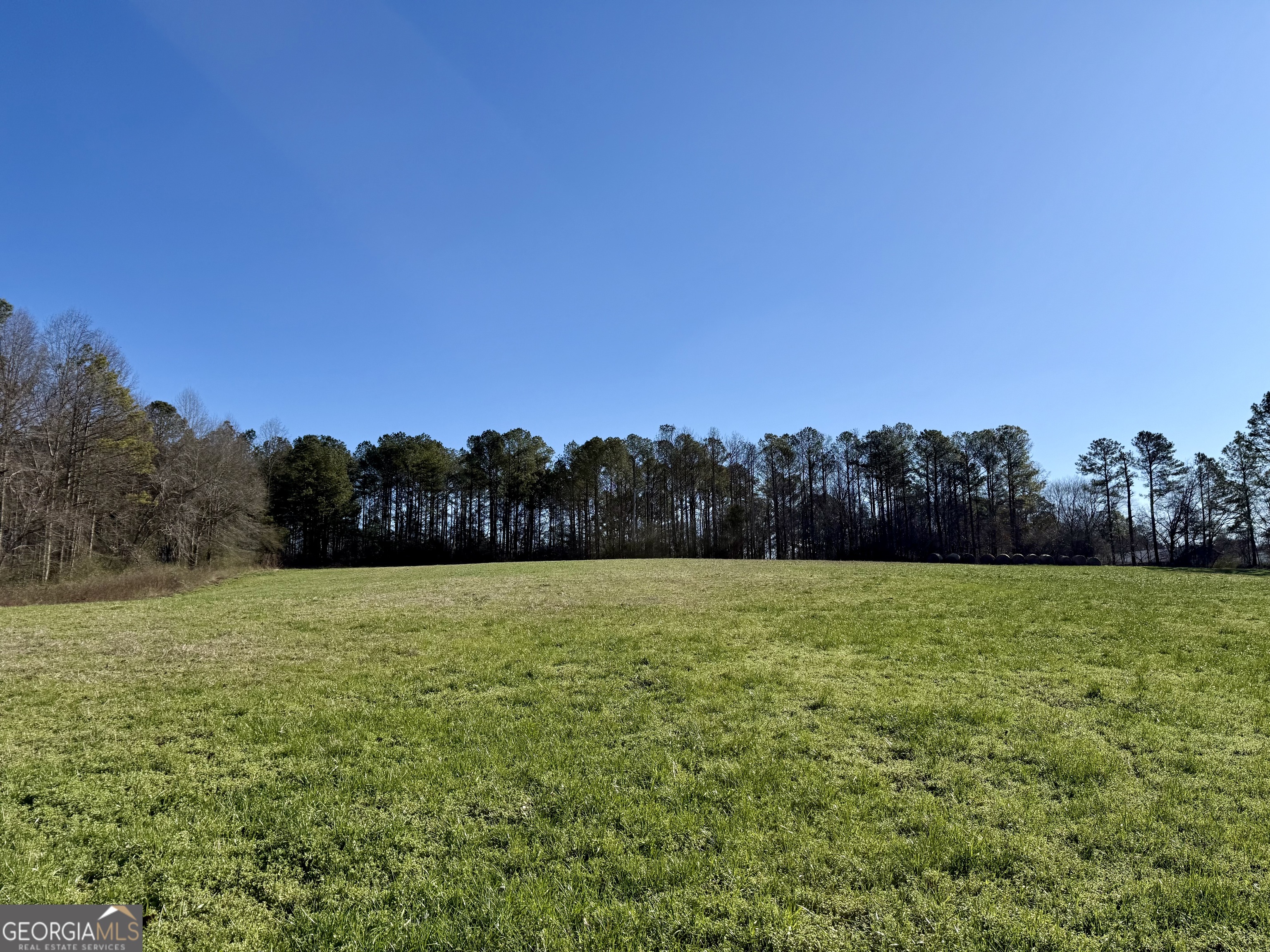 1090 Kansas Jake Road Waco, GA 30182 - Photo 3 of 22