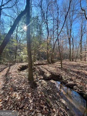 $319,900 | 1090 Kansas Jake Road, Waco, GA 30182