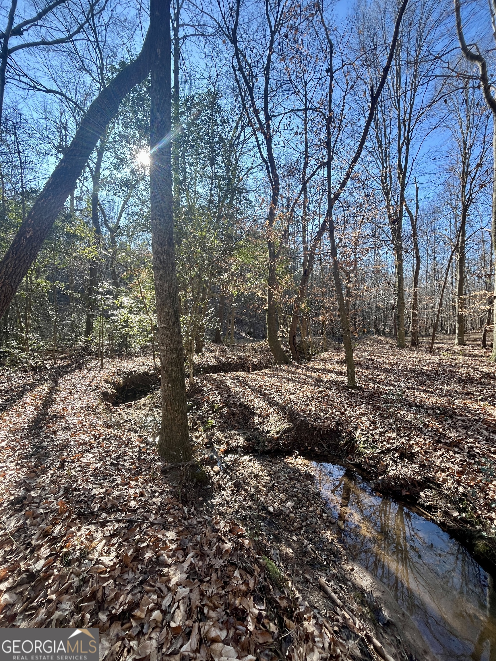 1090 Kansas Jake Road Waco, GA 30182 - Photo 8 of 22