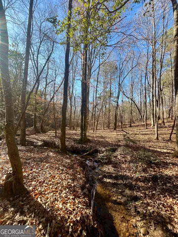 $319,900 | 1090 Kansas Jake Road, Waco, GA 30182