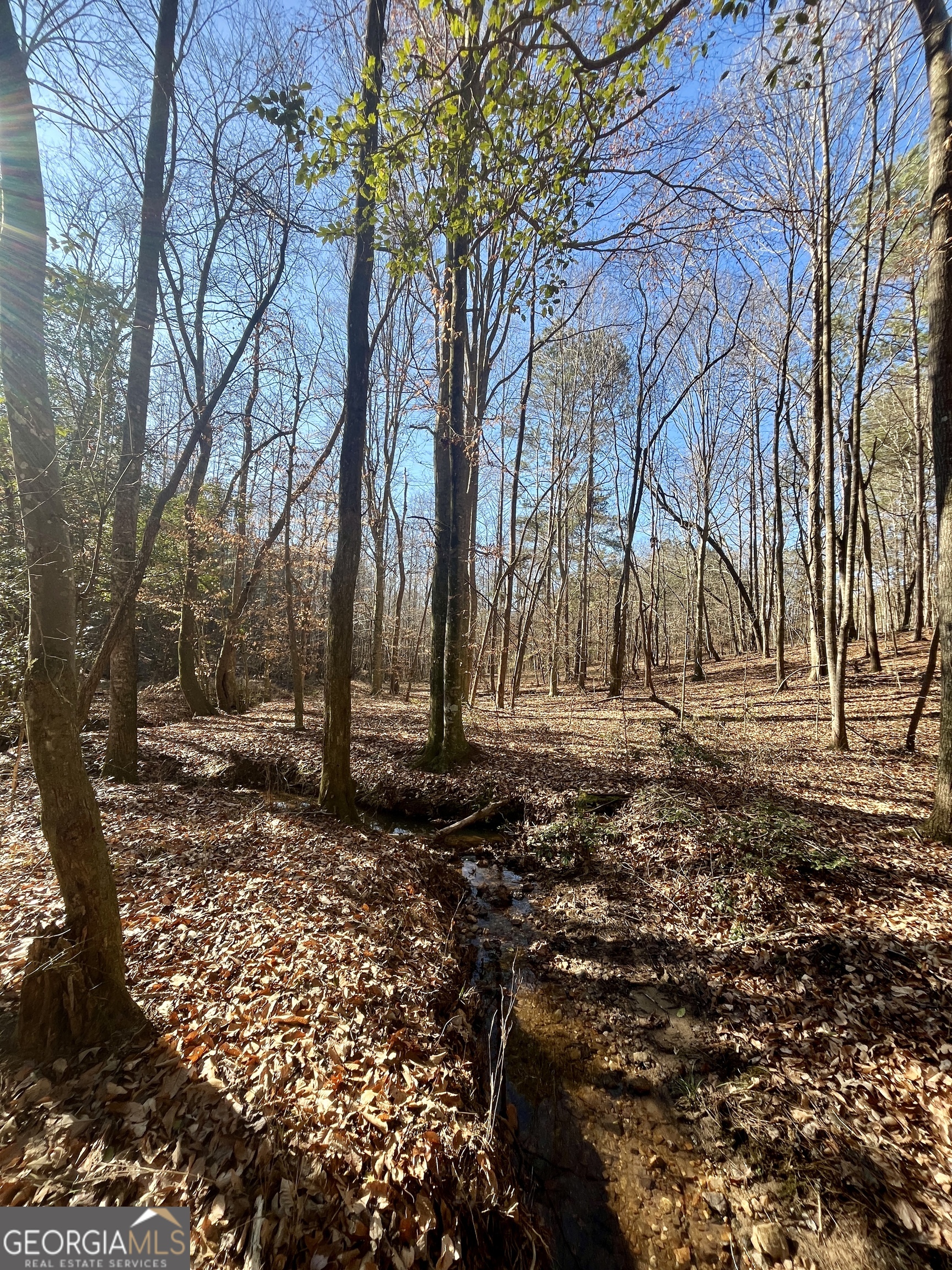 1090 Kansas Jake Road Waco, GA 30182 - Photo 9 of 22