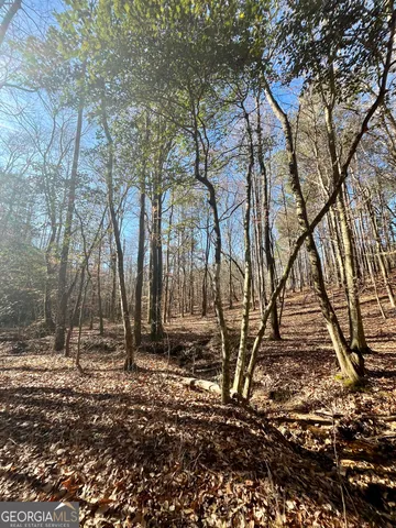 $319,900 | 1090 Kansas Jake Road, Waco, GA 30182