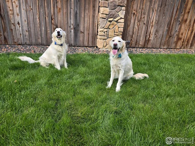 $711,000 | 5261 East 143rd Drive, Thornton, CO 80602