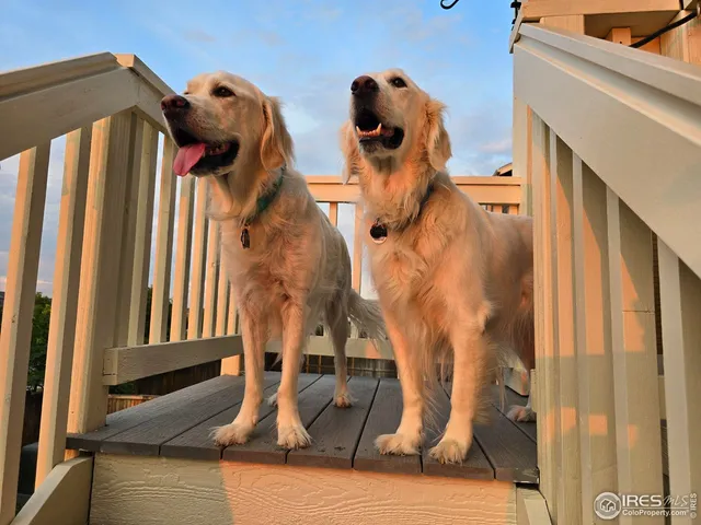 $711,000 | 5261 East 143rd Drive, Thornton, CO 80602