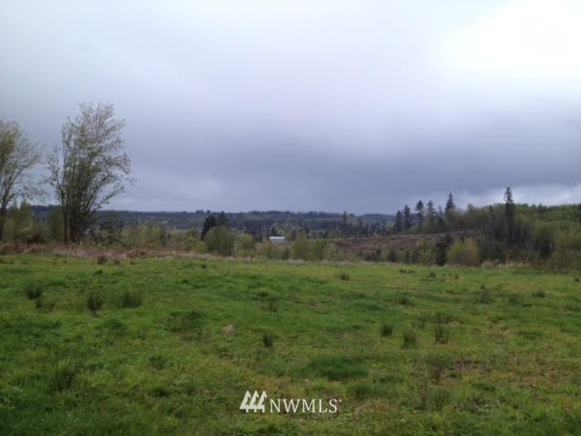 291 Ruger Lane Chehalis, WA 98532 - Photo 2 of 4
