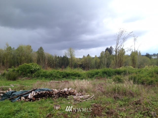 291 Ruger Lane Chehalis, WA 98532 - Photo 3 of 4