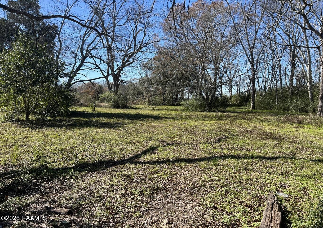 700 Hog Rayne, LA 70578 - Photo 3 of 5