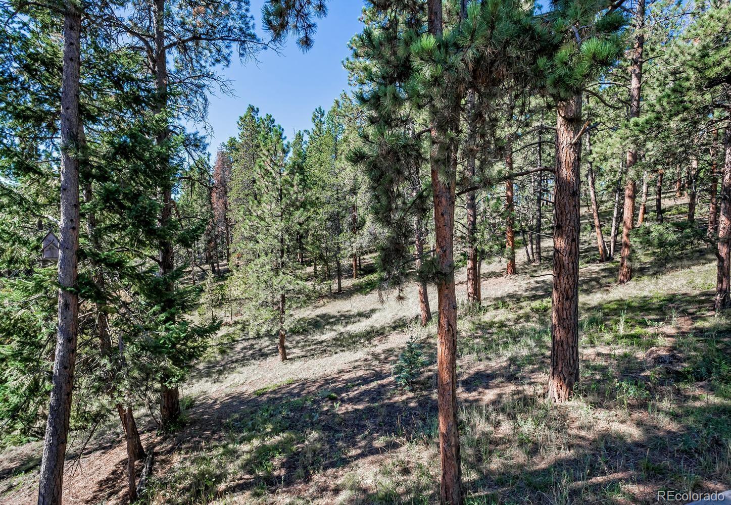 11055 Cordingly Road Conifer, CO 80433 - Photo 20 of 28 Gallery Image 20
