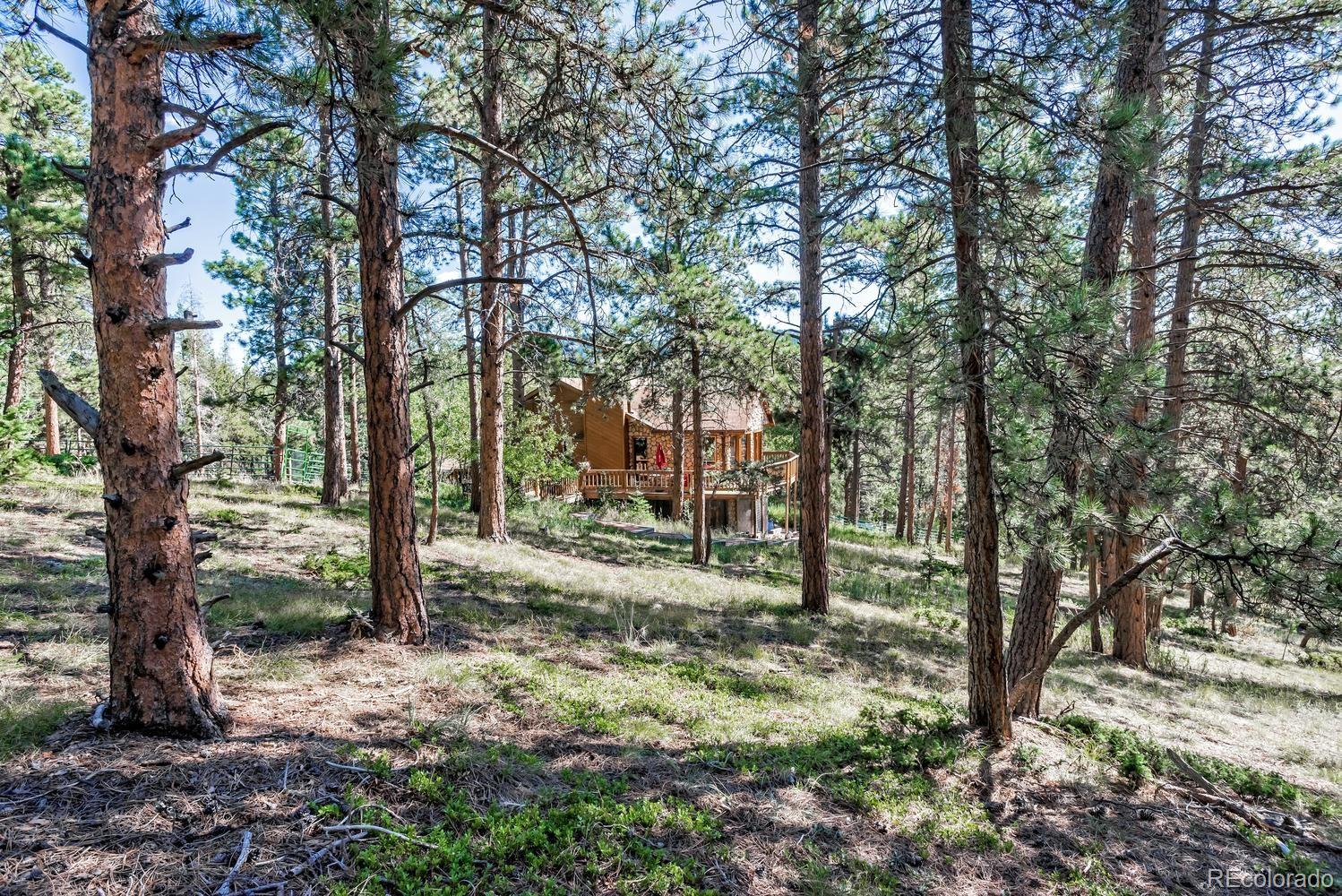 11055 Cordingly Road Conifer, CO 80433 - Photo 23 of 28 Gallery Image 23