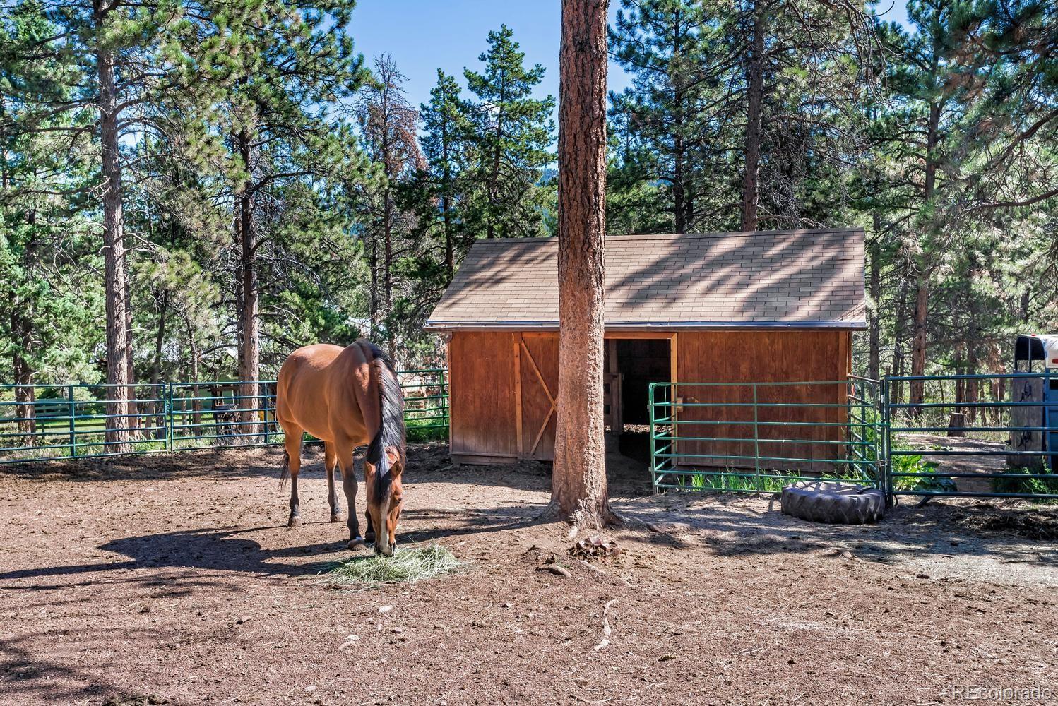 11055 Cordingly Road Conifer, CO 80433 - Photo 26 of 28 Gallery Image 26