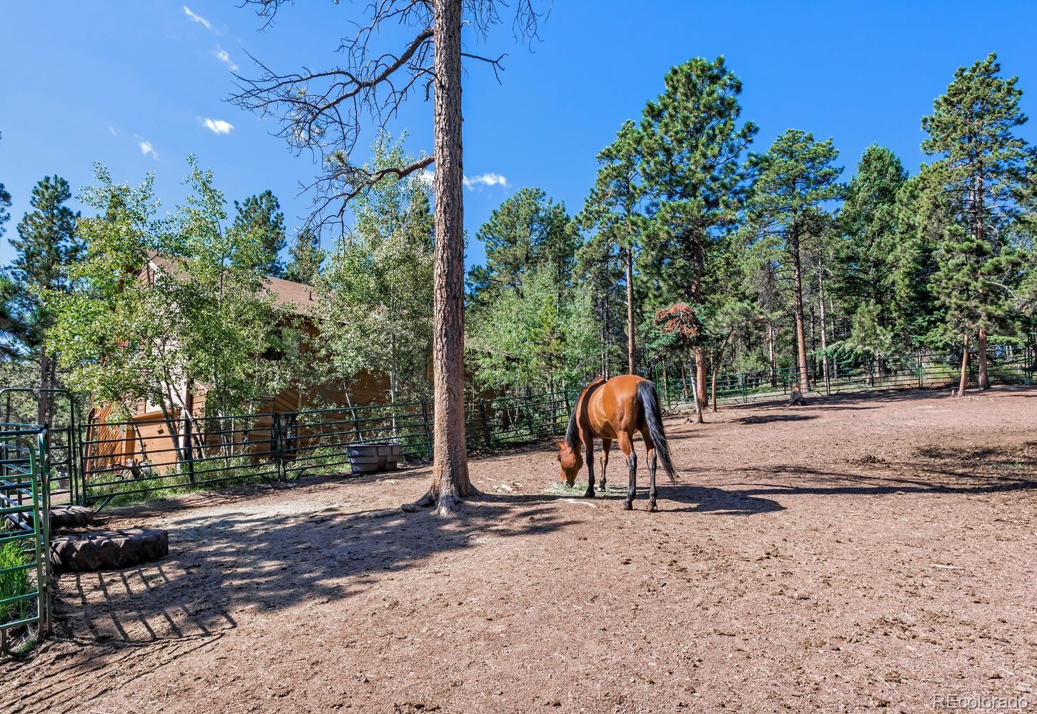 11055 Cordingly Road Conifer, CO 80433 - Photo 27 of 28 Gallery Image 27