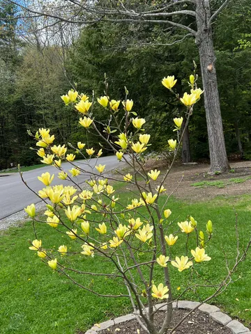 $385,000 | 535 Darby Drive, Belmont, NH 03246