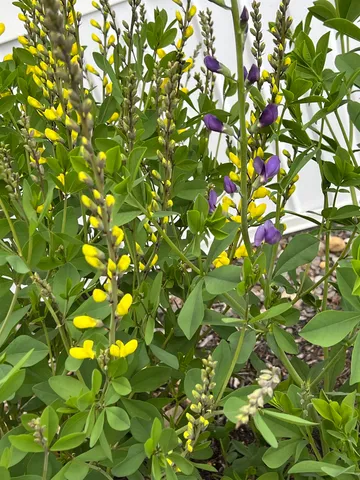 $385,000 | 535 Darby Drive, Belmont, NH 03246