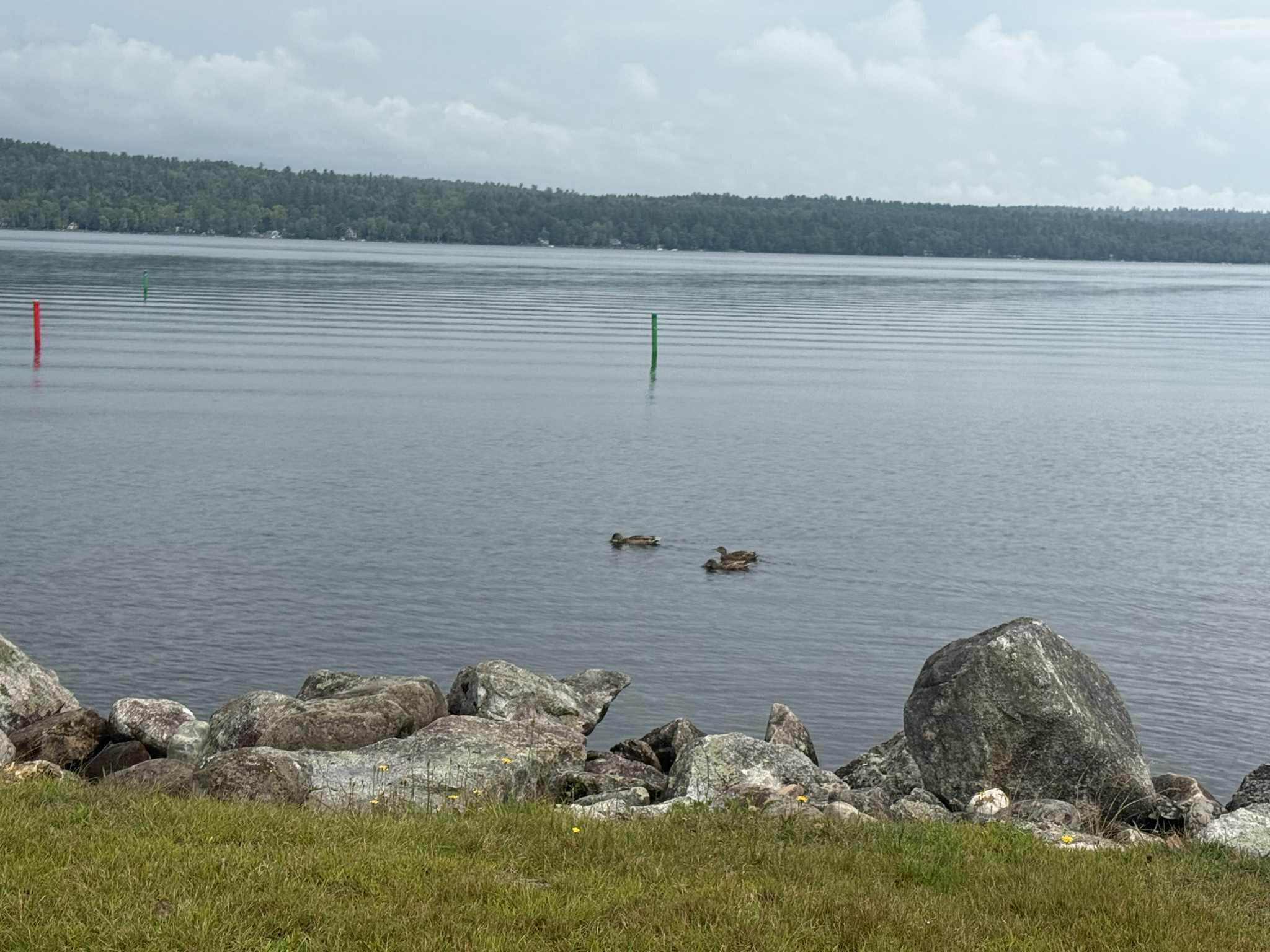 Lot #17 Greeley's Landing Road Dover Foxcroft, ME 04426 - Photo 14 of 16 cdbb9920-355a-4249-be12-843c2ab84bd1