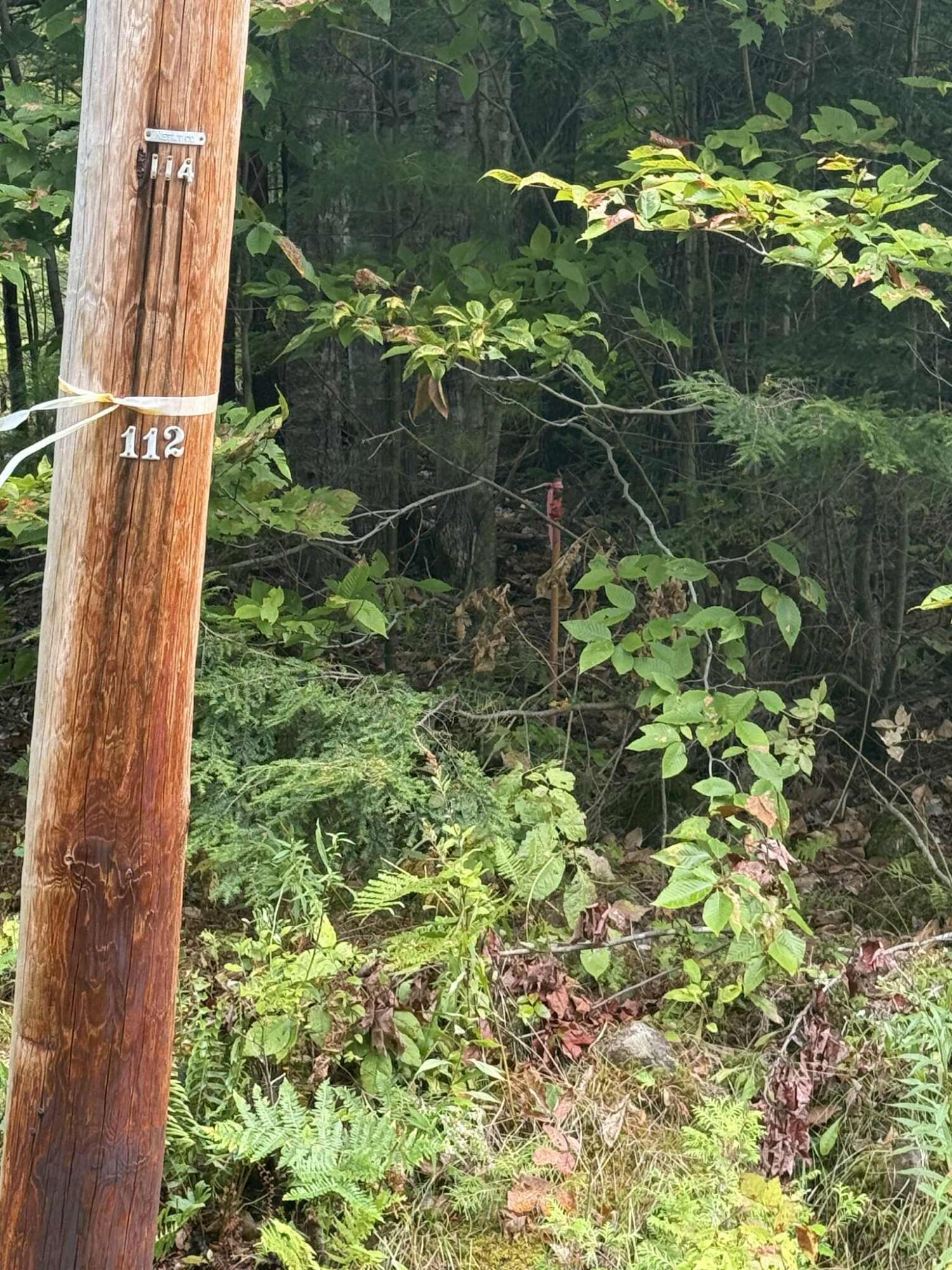 Lot #17 Greeley's Landing Road Dover Foxcroft, ME 04426 - Photo 6 of 16 8dfdbd6b-3a3a-46a1-b636-adb90a5fa2ea